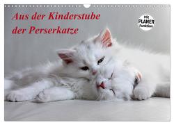 Aus der Kinderstube der Perserkatze (Wandkalender 2024 DIN A3 quer), CALVENDO Monatskalender von Klatt,  Arno