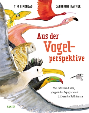 Aus der Vogelperspektive von Birkhead,  Tim, Gravert,  Rita, Rayner,  Catherine