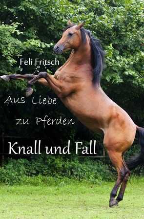 Aus Liebe zu Pferden / Aus Liebe zu Pferden – Knall und Fall von Fritsch,  Feli