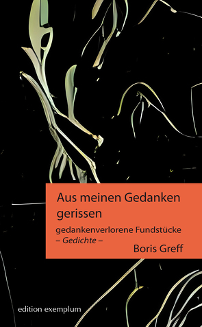 Aus meinen Gedanken gerissen von Greff,  Boris