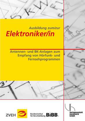 Ausbildung zum/zur Elektroniker/in / Ausbildung zum/zur Elektroniker/in von Folkerts,  Enno, Stelter,  Werner, Zentralverband der Deutschen Elektro- und Informationstechnischen Handwerke