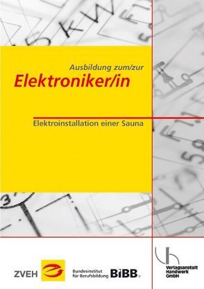 Ausbildung zum/zur Elektroniker/in / Ausbildung zum/zur Elektroniker/in von Boy,  Hans-Günter, Voigt,  Henk