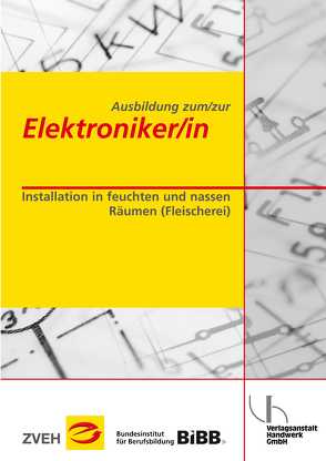 Ausbildung zum/zur Elektroniker/in / Ausbildung zum/zur Elektroniker/in von Dunkhase,  Uwe, Wefer,  Hergen