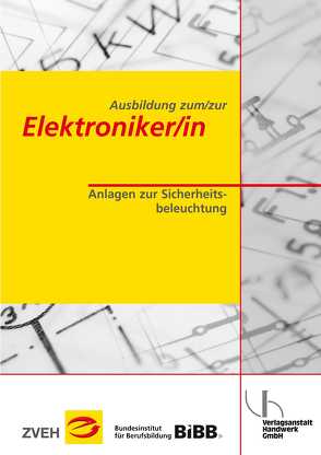 Ausbildung zum/zur Elektroniker/in / Ausbildung zum/zur Elektroniker/in von Dunkhase,  Uwe, Petermann,  Detlef