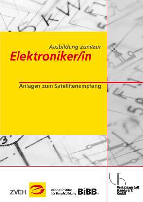 Ausbildung zum/zur Elektroniker/in / Ausbildung zum/zur Elektroniker/in von Folkerts,  Enno, Stelter,  Werner