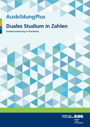 AusbildungPlus – Duales Studium in Zahlen von Gülkaya,  Ülkü, Hemkes,  Barbara, Hofmann,  Silvia, König,  Maik, Pollmer,  Mirko, Wesling,  Mirko, Wiesner,  Kim-Maureen