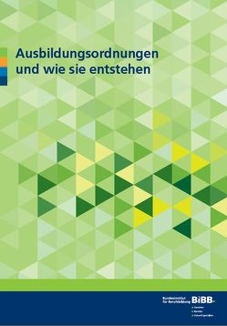 Ausbildungsordnungen und wie sie entstehen von Lorig,  Barbara, Schwarz,  Henrik, Stöhr,  Andreas