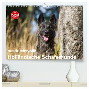 ausdrucksvolle Holländische Schäferhunde (hochwertiger Premium Wandkalender 2024 DIN A2 quer), Kunstdruck in Hochglanz von Verena Scholze,  Fotodesign