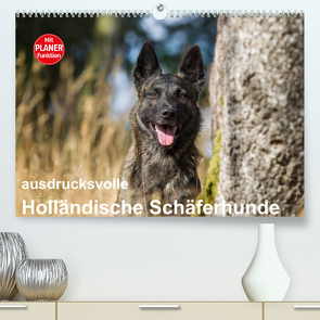 ausdrucksvolle Holländische Schäferhunde (Premium, hochwertiger DIN A2 Wandkalender 2023, Kunstdruck in Hochglanz) von Verena Scholze,  Fotodesign