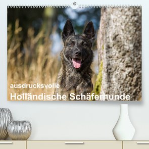 ausdrucksvolle Holländische Schäferhunde (Premium, hochwertiger DIN A2 Wandkalender 2023, Kunstdruck in Hochglanz) von Verena Scholze,  Fotodesign