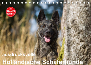 ausdrucksvolle Holländische Schäferhunde (Tischkalender 2023 DIN A5 quer) von Verena Scholze,  Fotodesign