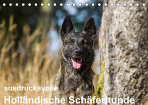 ausdrucksvolle Holländische Schäferhunde (Tischkalender 2023 DIN A5 quer) von Verena Scholze,  Fotodesign