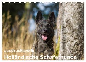 ausdrucksvolle Holländische Schäferhunde (Wandkalender 2024 DIN A2 quer), CALVENDO Monatskalender von Verena Scholze,  Fotodesign