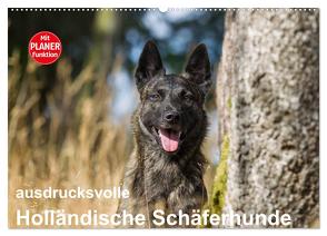 ausdrucksvolle Holländische Schäferhunde (Wandkalender 2024 DIN A2 quer), CALVENDO Monatskalender von Verena Scholze,  Fotodesign