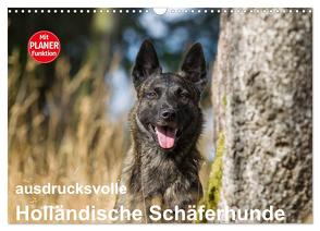 ausdrucksvolle Holländische Schäferhunde (Wandkalender 2024 DIN A3 quer), CALVENDO Monatskalender von Verena Scholze,  Fotodesign