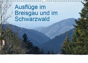 Ausflüge im Breisgau und im Schwarzwald (Wandkalender 2019 DIN A3 quer) von Robischon,  Rolf