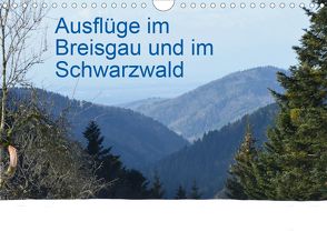 Ausflüge im Breisgau und im Schwarzwald (Wandkalender 2020 DIN A4 quer) von Robischon,  Rolf