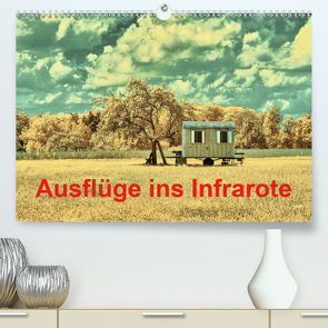 Ausflüge ins Infrarote (Premium, hochwertiger DIN A2 Wandkalender 2020, Kunstdruck in Hochglanz) von Bangert,  Mark