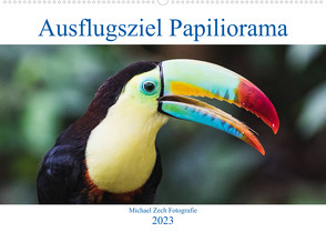 Ausflugsziel Papiliorama (Wandkalender 2023 DIN A2 quer) von Zech Fotografie,  Michael