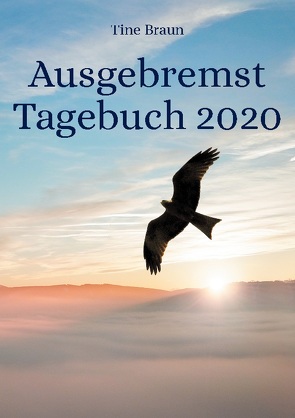 Ausgebremst Tagebuch 2020 von Braun,  Tine