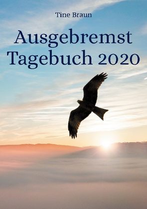 Ausgebremst Tagebuch 2020 von Braun,  Tine