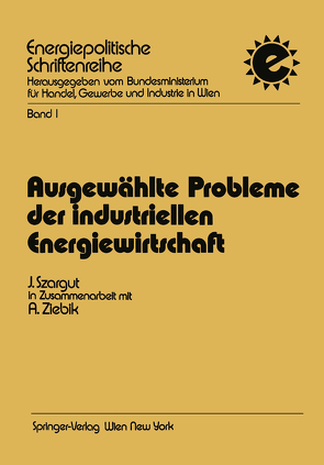 Ausgewählte Probleme der industriellen Energiewirtschaft von Satzinger,  Heinz, Szargut,  Jan, Ziebik,  Andrzej