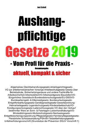 Aushangpflichtige Gesetze 2019 Gesamtausgabe von Scholl,  Jost