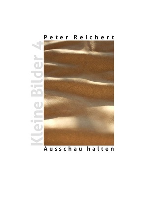 Ausschau halten von Reichert,  Peter