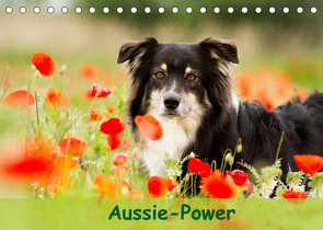 Aussie-Power (Tischkalender 2023 DIN A5 quer) von Mayer,  Andrea