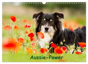 Aussie-Power (Wandkalender 2024 DIN A3 quer), CALVENDO Monatskalender von Mayer,  Andrea