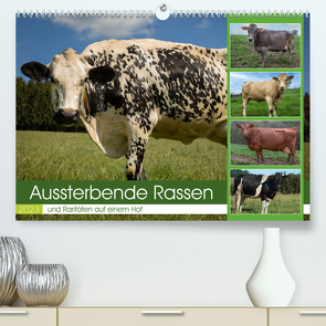 Aussterbende Rassen und Raritäten (Premium, hochwertiger DIN A2 Wandkalender 2023, Kunstdruck in Hochglanz) von Renné,  Heidi