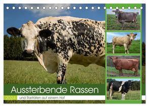 Aussterbende Rassen und Raritäten (Tischkalender 2024 DIN A5 quer), CALVENDO Monatskalender von Renné,  Heidi