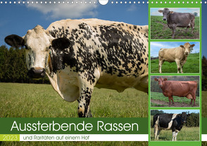 Aussterbende Rassen und Raritäten (Wandkalender 2023 DIN A3 quer) von Renné,  Heidi