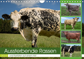 Aussterbende Rassen und Raritäten (Wandkalender 2023 DIN A4 quer) von Renné,  Heidi