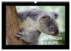 Australia Wildlife (Wandkalender 2024 DIN A3 quer), CALVENDO Monatskalender von by Wolfgang Schömig,  Luxscriptura