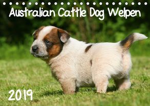 Australian Cattle Dog Welpen (Tischkalender 2019 DIN A5 quer) von Milau,  Susan