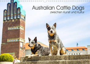 Australian Cattle Dogs zwischen Kunst und Kultur (Wandkalender 2023 DIN A3 quer) von Verena Scholze,  Fotodesign