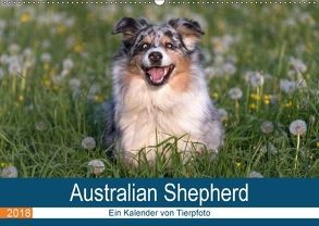 Australian Shepherd 2018 (Wandkalender 2018 DIN A2 quer) von Mirsberger www.tierpfoto.de,  Annett