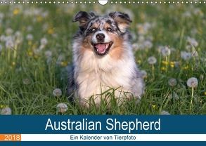 Australian Shepherd 2018 (Wandkalender 2018 DIN A3 quer) von Mirsberger www.tierpfoto.de,  Annett