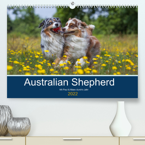 Australian Shepherd 2022 (Premium, hochwertiger DIN A2 Wandkalender 2022, Kunstdruck in Hochglanz) von Mirsberger,  Annett