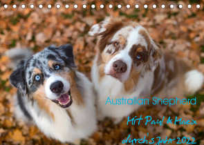 Australian Shepherd 2022 (Tischkalender 2022 DIN A5 quer) von Mirsberger,  Annett