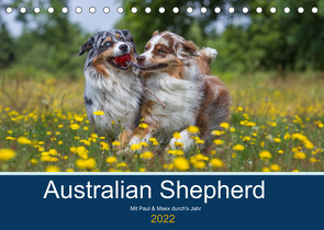 Australian Shepherd 2022 (Tischkalender 2022 DIN A5 quer) von Mirsberger,  Annett