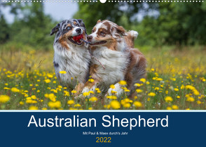 Australian Shepherd 2022 (Wandkalender 2022 DIN A2 quer) von Mirsberger,  Annett