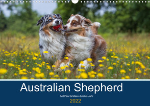 Australian Shepherd 2022 (Wandkalender 2022 DIN A3 quer) von Mirsberger,  Annett