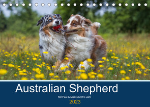 Australian Shepherd 2023 (Tischkalender 2023 DIN A5 quer) von Mirsberger,  Annett