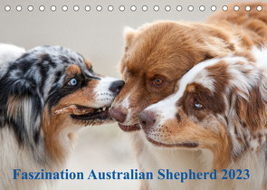 Australian Shepherd 2023 (Tischkalender 2023 DIN A5 quer) von Mirsberger,  Annett