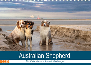 Australian Shepherd 2023 (Wandkalender 2023 DIN A2 quer) von Mirsberger,  Annett