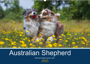 Australian Shepherd 2023 (Wandkalender 2023 DIN A2 quer) von Mirsberger,  Annett