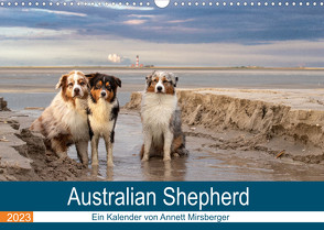 Australian Shepherd 2023 (Wandkalender 2023 DIN A3 quer) von Mirsberger,  Annett