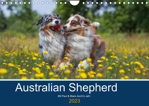 Australian Shepherd 2023 (Wandkalender 2023 DIN A4 quer) von Mirsberger,  Annett